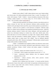 Viešbučio „Vaidila“ informacinės sistemos ir veiklos analizė 13 puslapis