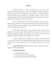 Viešbučio „Vaidila“ informacinės sistemos ir veiklos analizė 5 puslapis