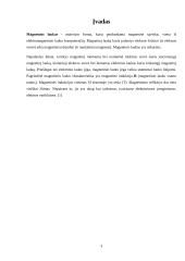 Magnetinis laukas elektros įrenginiuose 3 puslapis