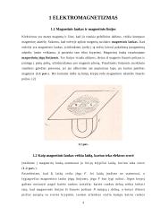 Magnetinis laukas elektros įrenginiuose 4 puslapis