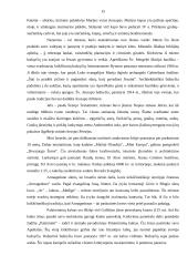 Izraelis kelionių organizavimo savarankiškas rašto darbas 15 puslapis