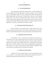 Izraelis kelionių organizavimo savarankiškas rašto darbas 16 puslapis