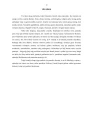 Izraelis kelionių organizavimo savarankiškas rašto darbas 17 puslapis