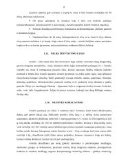 Izraelis kelionių organizavimo savarankiškas rašto darbas 8 puslapis