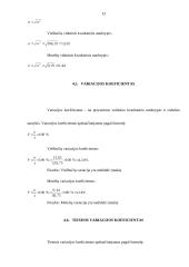 Viešbučių ir motelių statistinis tyrimas 13 puslapis