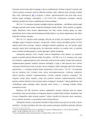 Kolizijų sprendimas darbo teisėje 13 puslapis