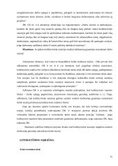 Kolizijų sprendimas darbo teisėje 15 puslapis