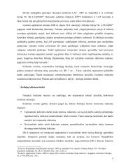 Kolizijų sprendimas darbo teisėje 9 puslapis