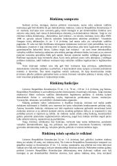 Rinkimų principai  2 puslapis