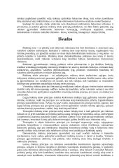 Rinkimų principai  12 puslapis