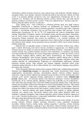 Rinkimų principai  3 puslapis