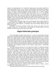 Rinkimų principai  8 puslapis
