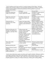 Karvių melžimo robotais privalumai ir trūkumai 10 puslapis