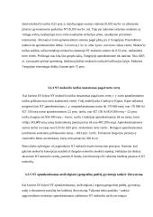 Apmokestinimo nekilnojamo turto mokesčių modelių analizė 17 puslapis