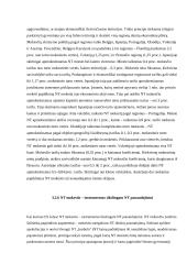 Apmokestinimo nekilnojamo turto mokesčių modelių analizė 18 puslapis