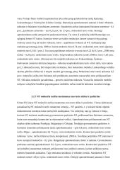 Apmokestinimo nekilnojamo turto mokesčių modelių analizė 19 puslapis