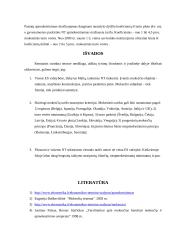 Apmokestinimo nekilnojamo turto mokesčių modelių analizė 20 puslapis