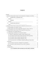 Apmokestinimo nekilnojamo turto mokesčių modelių analizė 3 puslapis