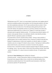 Apmokestinimo nekilnojamo turto mokesčių modelių analizė 4 puslapis