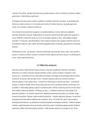 Apmokestinimo nekilnojamo turto mokesčių modelių analizė 6 puslapis