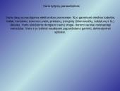 Varis pristatymas 6 puslapis