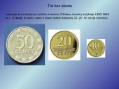 Varis pristatymas 8 puslapis