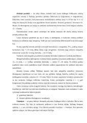 Vaikų vystymosi ypatumai 4 puslapis