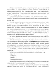 Vaikų vystymosi ypatumai 5 puslapis