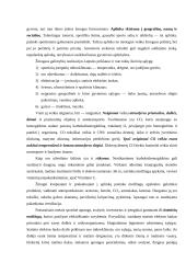 Vaikų vystymosi ypatumai 6 puslapis