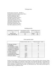 Įmonė: Fotostudija verslo planas  2 puslapis