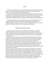 Pilietinė visuomenė. Politikos sociologijos referatas 2 puslapis