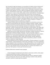 Pilietinė visuomenė. Politikos sociologijos referatas 4 puslapis