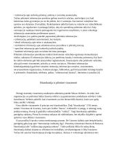 Pilietinė visuomenė. Politikos sociologijos referatas 5 puslapis