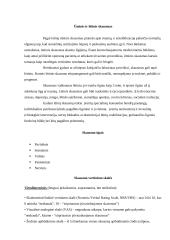 Racionalus vaistų nuo skausmo vartojimas 3 puslapis