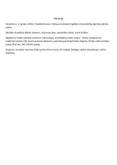 Terapinė slauga. Slaugos istorija 2 puslapis