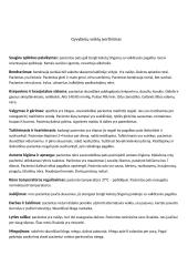 Terapinė slauga. Slaugos istorija 7 puslapis