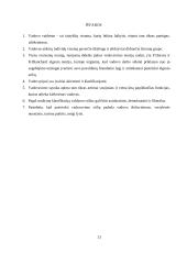 Vadovavimas. Vadovų tipai. Valdymo stiliai 13 puslapis