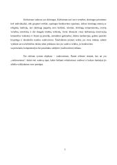 Vadovavimas. Vadovų tipai. Valdymo stiliai 3 puslapis