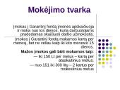 Įmokos į garantinį fondą 7 puslapis