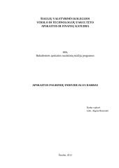 Apskaitos pagrindų individualus darbas