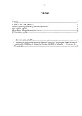 Apskaitos pagrindų individualus darbas 2 puslapis