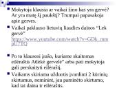 Pamokos planas lietuvių kalbai 4 puslapis