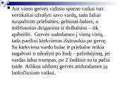 Pamokos planas lietuvių kalbai 6 puslapis
