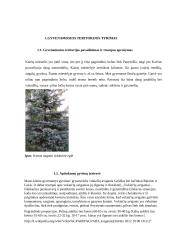 Gyvenvietės ekosistemos analizė ir vertinimas 3 puslapis