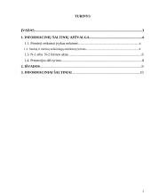 Nelaimingi atsitikimai 2 puslapis