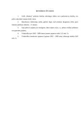 „Monton“ statistikos darbas 11 puslapis