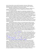 Ledo ritulio žaidėjų ištvermės ugdymas 3 puslapis