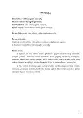 Kūno kultūros vaidmuo ugdant asmenybę 2 puslapis