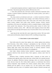 Kūno kultūros vaidmuo ugdant asmenybę 12 puslapis