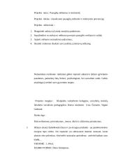 Paauglių nėštumas ir motinystė 2 puslapis